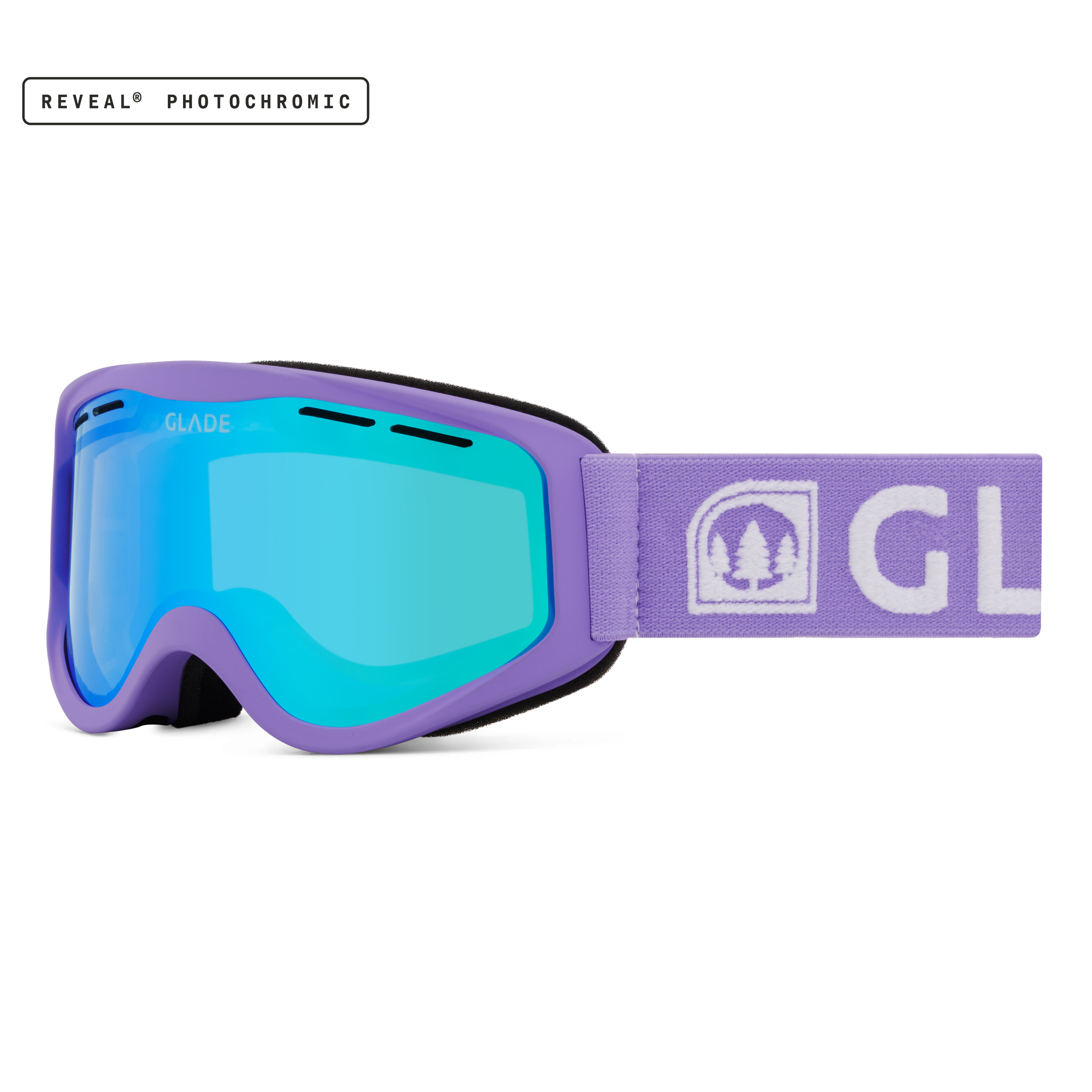 2024 エレクトリック PIKE VIOLET PHO 調光 ゴーグル Electric Pike Snow Goggle Auxin Purple/Black