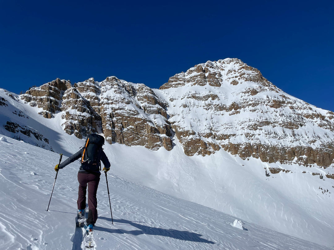 AN ELITIST'S TAKE ON SKIING WITH A GUIDE