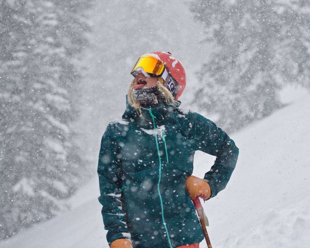 Polarized Challenger Goggle